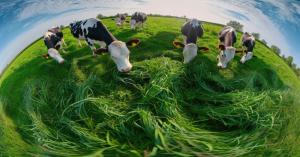 पशुपालन अर्थव्यवस्थाओं में बदलाव: 545 करोड़ रुपये से अधिक मूल्य के 40 पशुपालन परियोजनाओं का उद्घाटन होगा